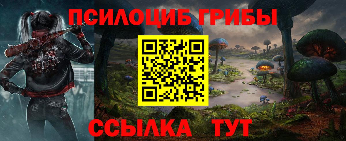 Южно-Сахалинск  Галлюциногенные грибы прущие грибы  Вход с VPN  Псилоцибиновые грибы Psilocybine cubensis 